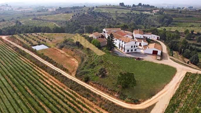 alt penedès winery visit with tastings