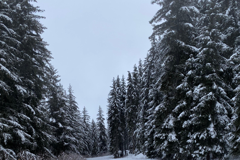 Conserje privado de lujo - Experiencia Megève a medida