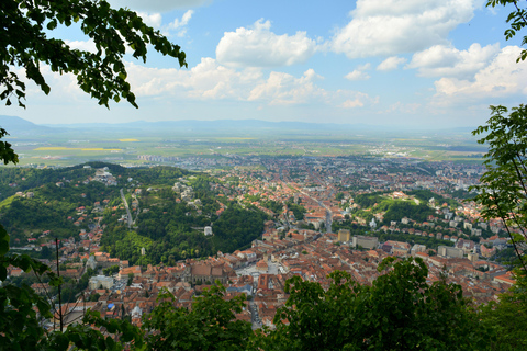 From Bucharest: Cantacuzino Castle, Bears & Brasov Tour