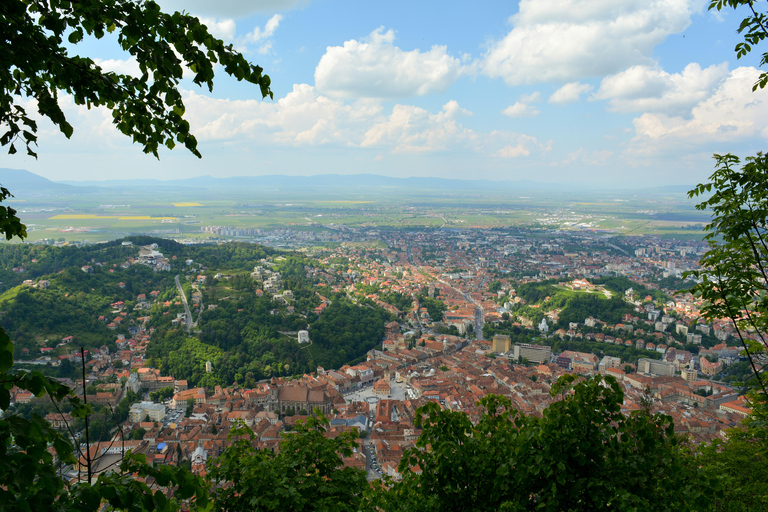 From Bucharest: Cantacuzino Castle, Bears & Brasov Tour