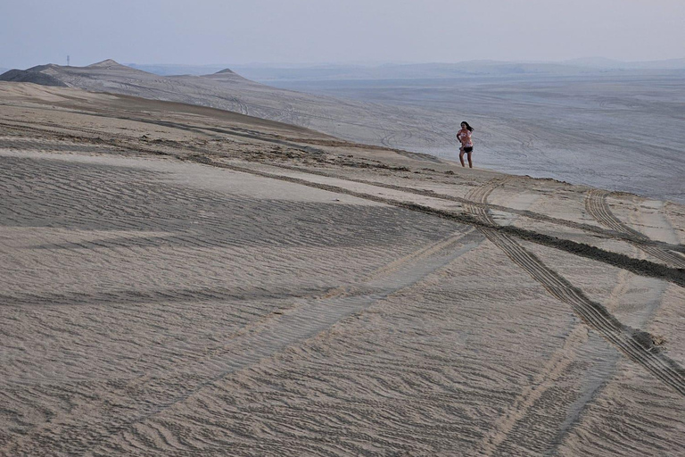 Doha Qatar: Airport Layover or Transfer Desert Safari.