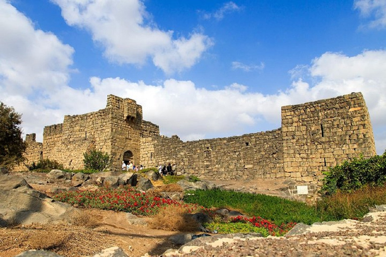 Amman - Excursion d'une journée dans les châteaux du désert et la réserve de la zone humide d'AzraqAmman, châteaux du désert et réserve de la zone humide d'Azraq Journée complète VAN