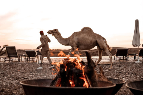 Marrakech;Agafay Desert , Dinner Show & Sunset Camel Ride Marrakech ; Desert Agafay Tour & Dinner Camel Ride Show