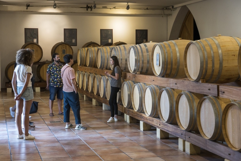 Desde Marsella: tour por la Provenza y cata de vinos