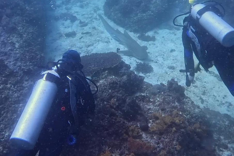 Scuba Diving in Muscat