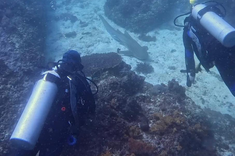 Scuba Diving in Muscat