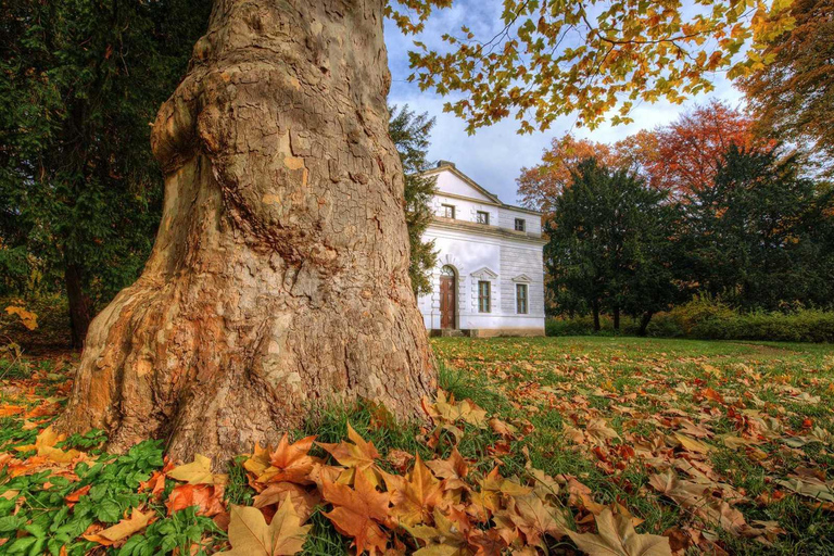 Dessau: Śladami Paula Klee