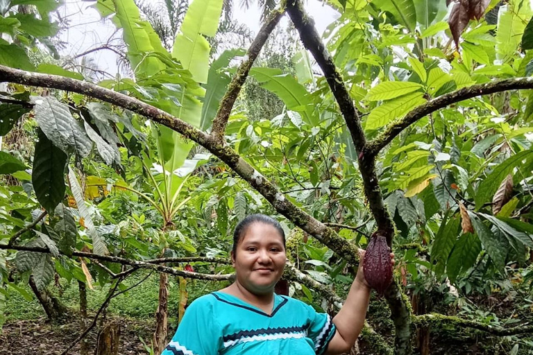 Indigenous Cacao Tour in Bocas del Toro