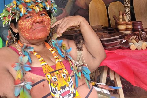 Paraty: Waterfalls, Distillery, and Cheese Tasting Tour Pick up dos clientes nas pousadas proximas do centro