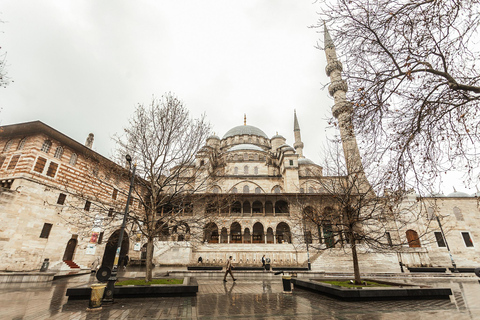 Istanbul: Bosphorus Bites Food Tour with 14+ Tastings