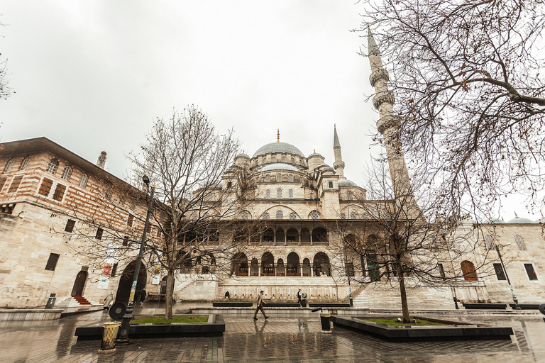 Istanbul: Bosphorus Bites Food Tour with 14+ Tastings