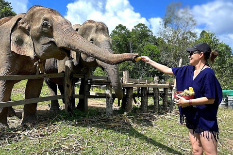 Chiang Mai : Sanctuaire d'éléphants éthiques et aventure en VTT2 heures de VTT et visite du sanctuaire avec déjeuner et transfert