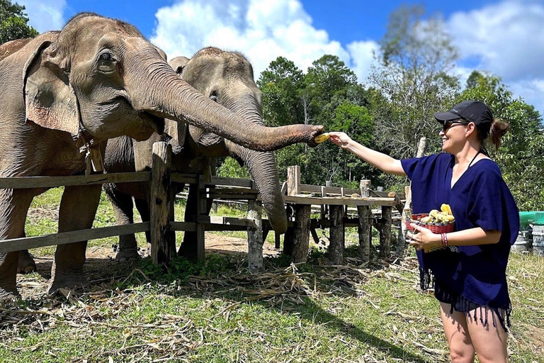 Chiang Mai: Ethisch olifantenopvangcentrum en ATV avontuur2 uur ATV- en heiligdombezoek met lunch en transfer