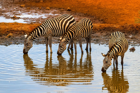 Nairobi: Tour di un giorno al Parco Nazionale Amboseli e al villaggio Maasai