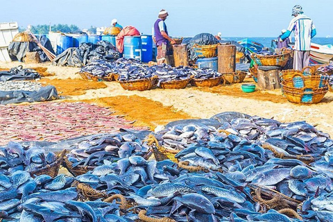 Negombo: Guided City Tour with Airport Drop-Off