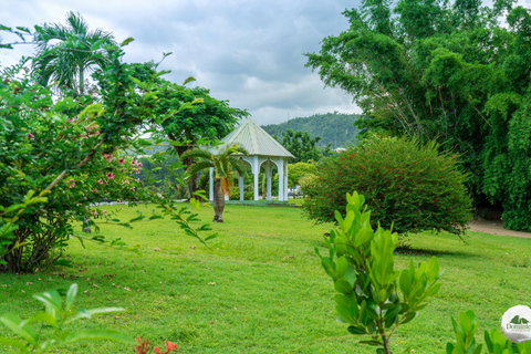 Roseau: Titou Gorge, Hot Spring, Falls & Champagne Reef Tour