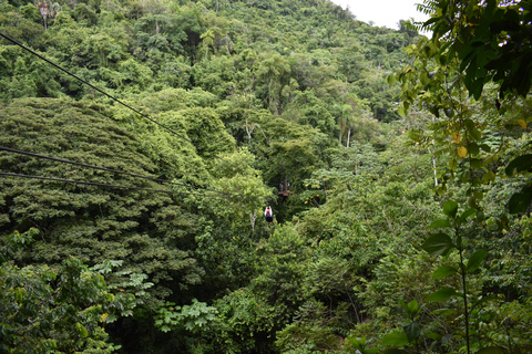 Damajagua: Zip Line and Waterfall Adventure with Lunch