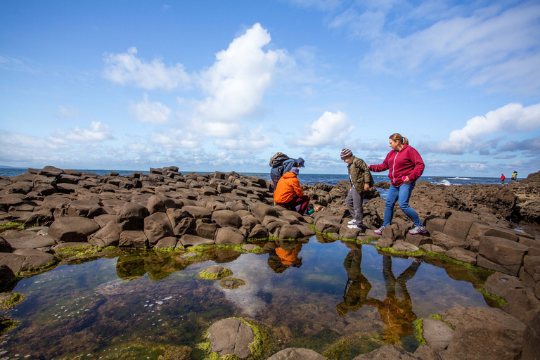 Dublin: excursie Belfast Titanic Quarter & Giant's Causeway