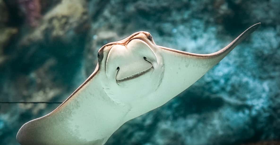 Aquarium of the Pacific: Skip-the-Ticket-Line Admission