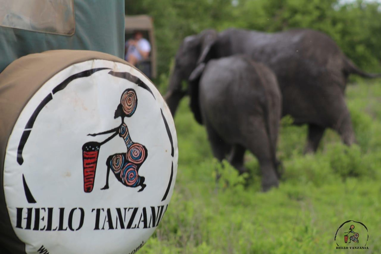 Selous : Un safari hors route d&#039;une journée au départ de Zanzibar