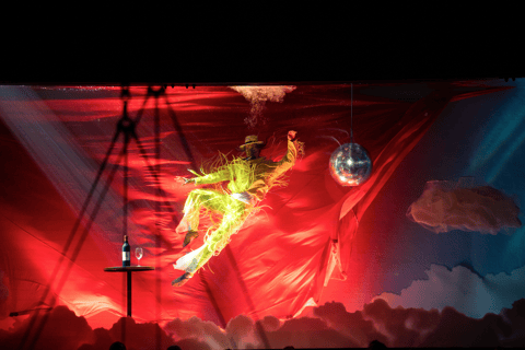 Cirque du Soleil LUDÕ — Vallarta Premium Balcony Experience: Show, Champagne, and Canapés