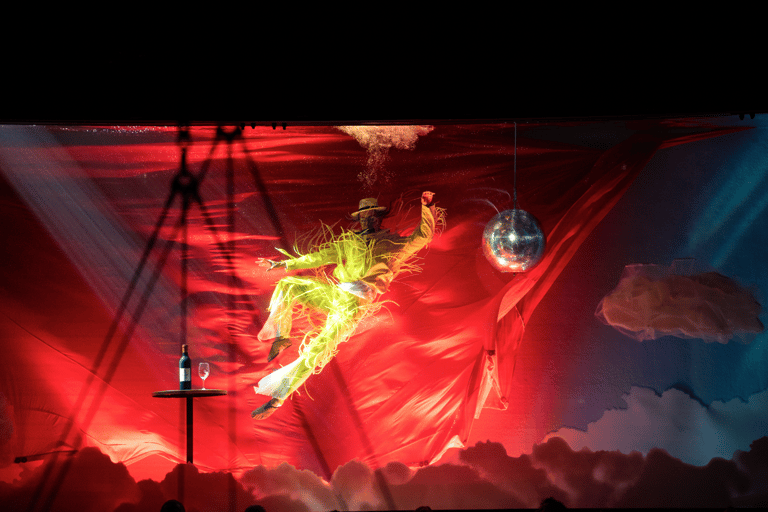 Cirque du Soleil LUDÕ — Vallarta Premium Balcony Experience: Show, Champagne, and Canapés
