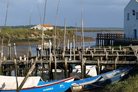 Lizbona: Arrábida & Sesimbra / Blue Coast Private Tour