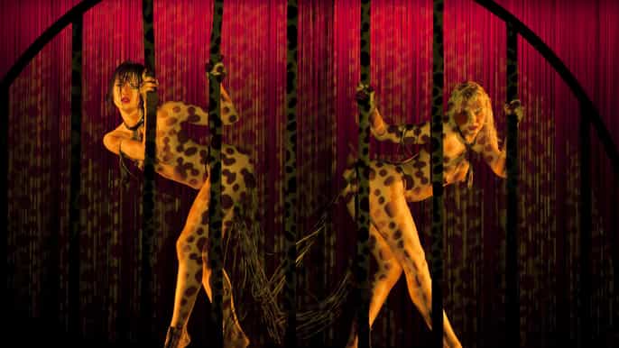 crucero parís iluminado y espectáculo burlesque crazy horse