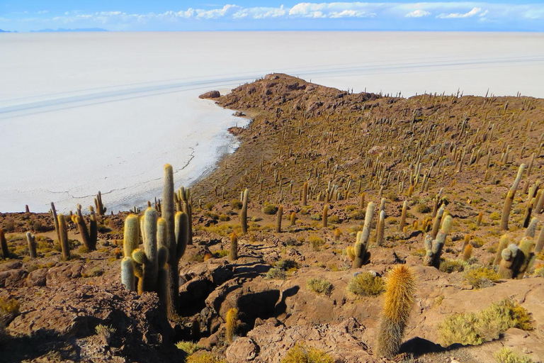 From Lima-Peru: Uyuni Salt Flats 4 days 3 nights