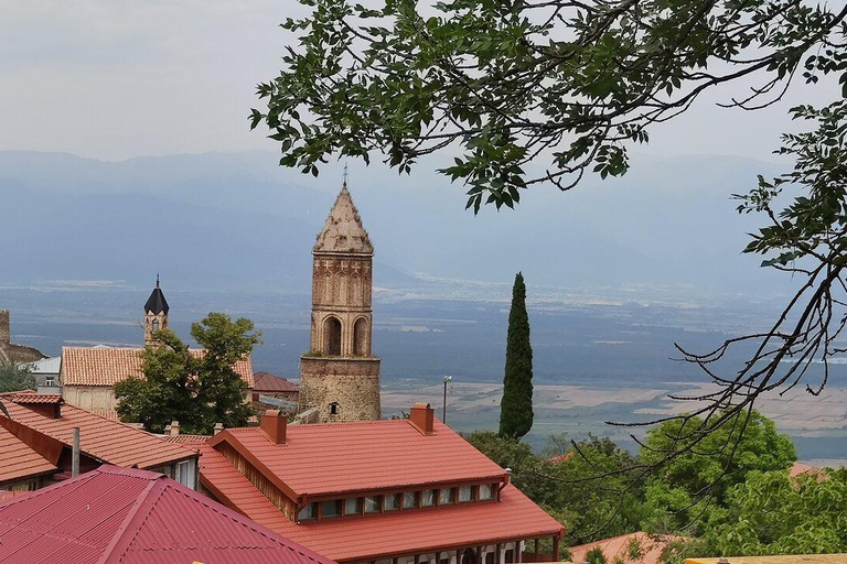 جولة جماعية إرشادية في منطقة النبيذ والتاريخ في تبليسي كاخيتي