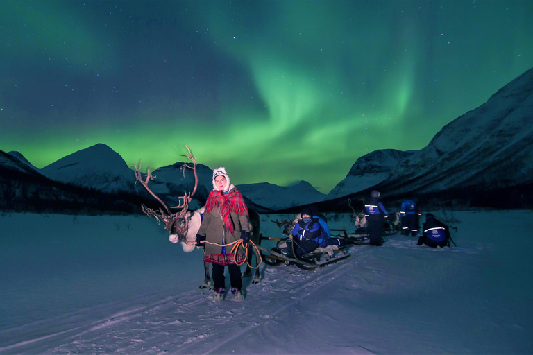 De Tromsø: Passeio noturno de trenó de rena no Camp Tamok