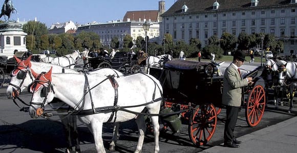 Vienna: Mozart Concert with Dinner and Carriage Ride