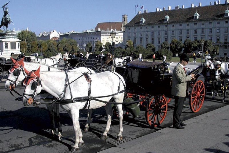 Vienna: Mozart Concert with Dinner and Carriage Ride Vienna: Concert in the Golden Hall