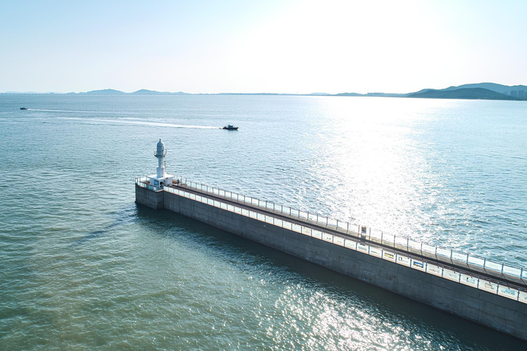 Seoul: Incheon Landing Operation & UN Forces Expert-Led Tour Incheon Landing Operation & UN Forces History (Private Tour)