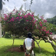 Kumasi City Tour - Ashanti Kingdom