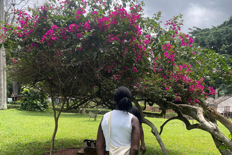 أكرا: جولة سياحية في غانا لمدة 7 أيام