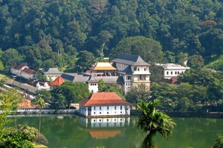 Kandy en Nuwara Eliya: tweedaagse tour vanuit ColomboKandy en Nuwara Eliya: tweedaagse budgetrondleiding
