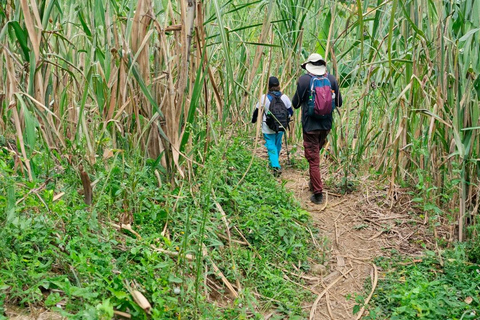 Medellín: tour di un giorno del Tunel de la Quiebra, della ferrovia e delle cascateMedellín: Tour di un giorno del Tunel de la Quiebra, della ferrovia e delle cascate