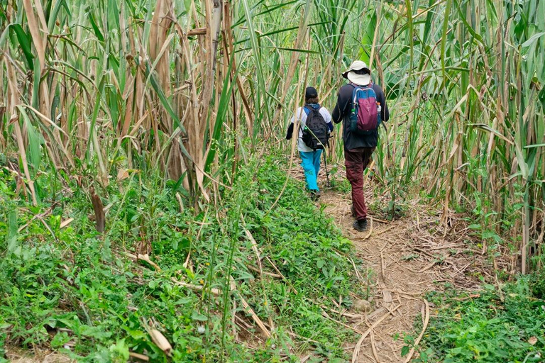 Medellín: tour di un giorno del Tunel de la Quiebra, della ferrovia e delle cascateMedellín: Tour di un giorno del Tunel de la Quiebra, della ferrovia e delle cascate