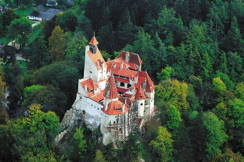 Au départ de Bucarest : Excursion privée d'une journée aux châteaux de Dracula et de Peles