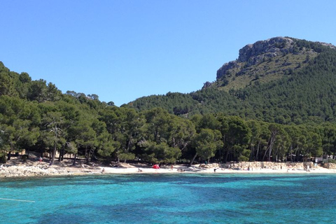 Mallorca: Scenic Formentor Tour by Bus & Boat Pick up in Playa de Muro
