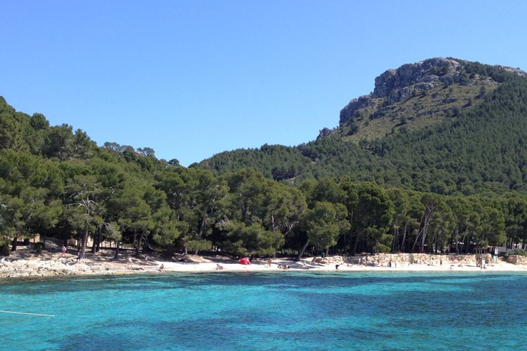 Mallorca: Scenic Formentor Tour by Bus & Boat Pick up in Playa de Muro