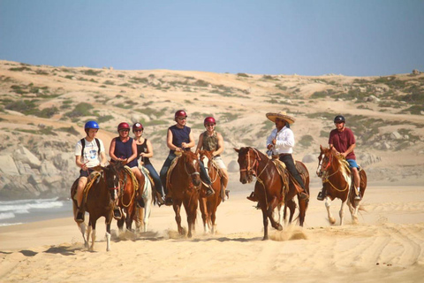 Cabo San Lucas: Horseback Riding on the Beach Experience Migriño Horseback Riding PRO