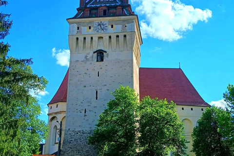Saxon Villages Tour: Viscri, Rupea Fortress, Criț & Saschiz