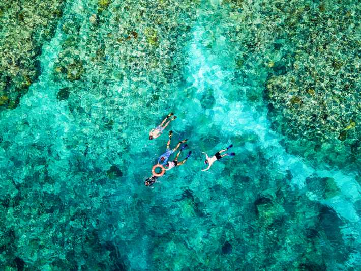 Cairns: Tour di snorkeling o immersione nella Grande Barriera Corallina e pranzo