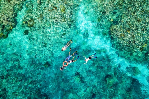 Vanuit Cairns: Premium Great Barrier Reef snorkelen & duikenPremium Great Barrier Reef Tour - gecertificeerde duiker