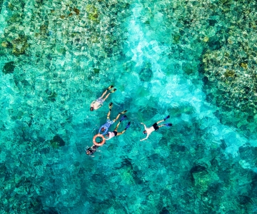 Cairns: Snorkelen of duiken in het Groot Barrièrerif en lunch
