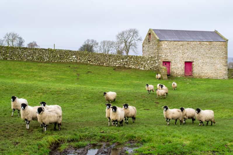 The Yorkshire Dales Tour From York GetYourGuide   146 