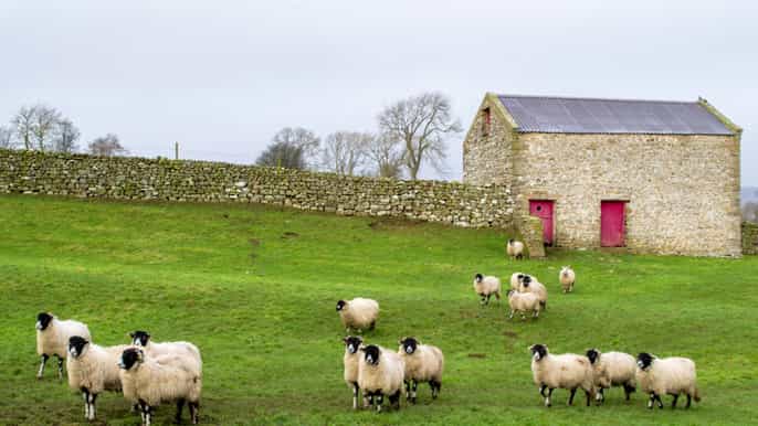 the yorkshire dales tour from york