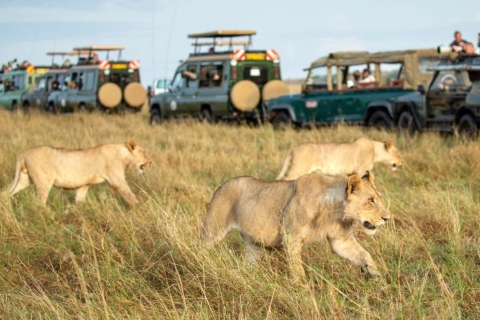 Kenia: 9-dniowe safari Masaai MaraKenia: 9-dniowe safari Masajów Mara